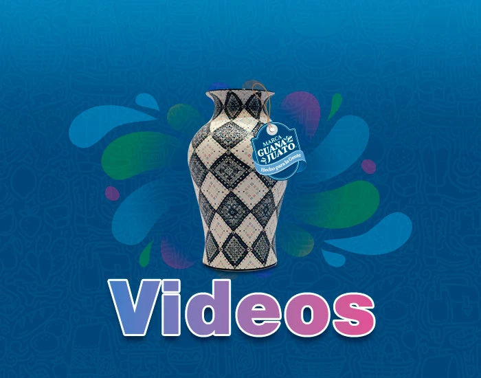 Videos pabellon de la gente León guanajuato